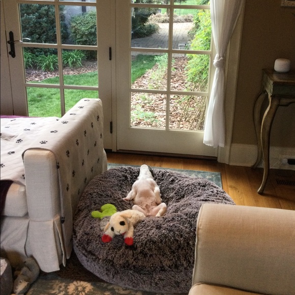 Meet your Posher, Dani ๐พ - Picture 16 of 16